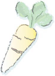 Carrot